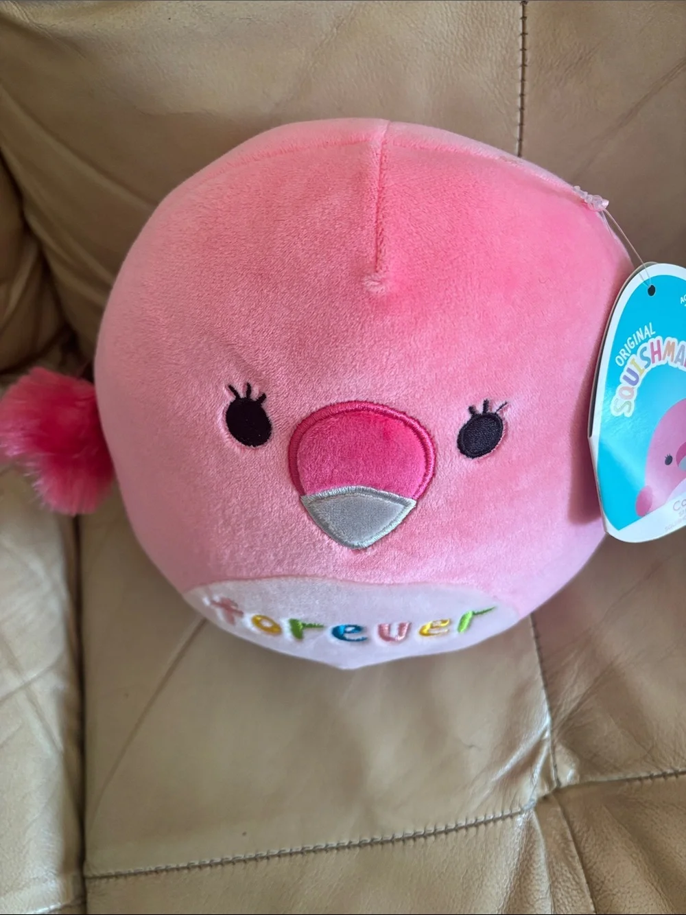 SQUISHMALLOWS 8 inches ~ Cookie 🐦 🩷